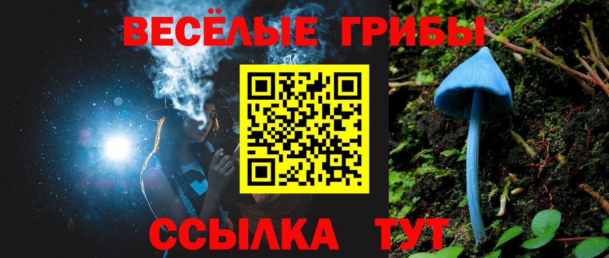 наркотики  Вход с VPN  Богородицк  Псилоцибиновые грибы прущие грибы  Псилоцибиновые грибы прущие грибы 